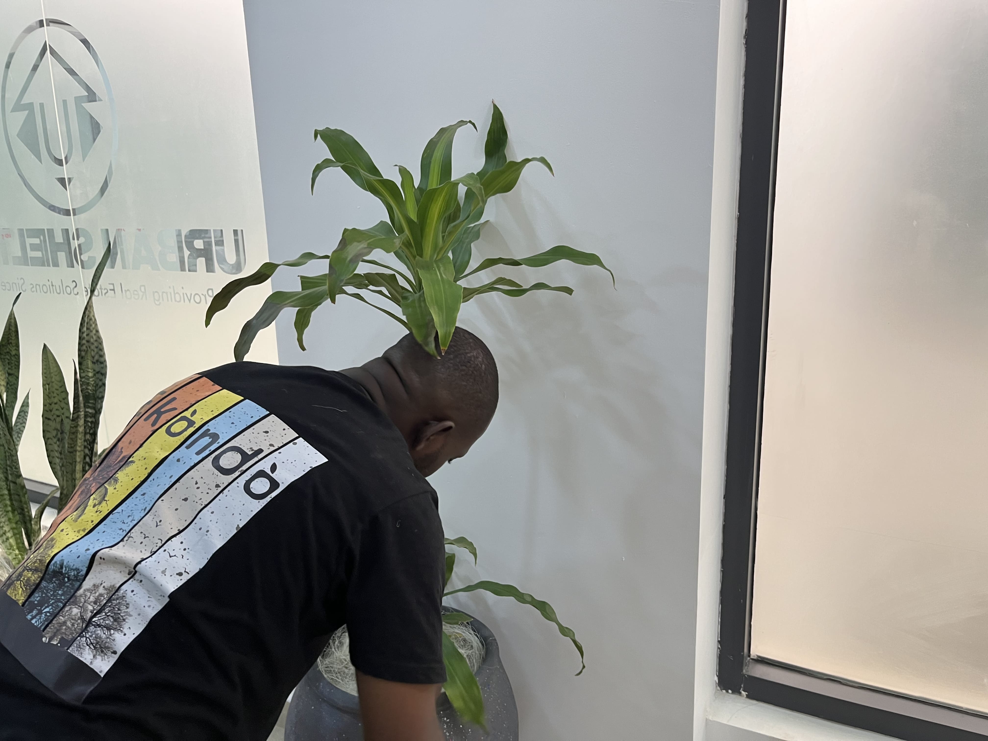 Professional landscaping services